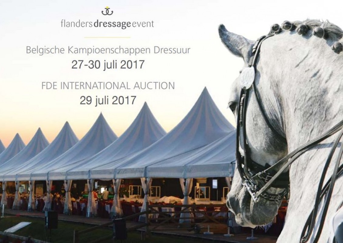 TheVMSL Dressage Battle